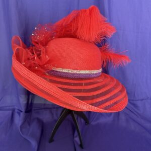 Red Plume Sun Hat