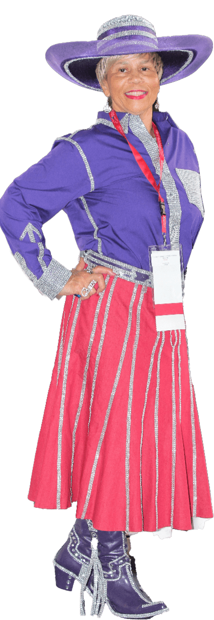 60s Western Night Party
