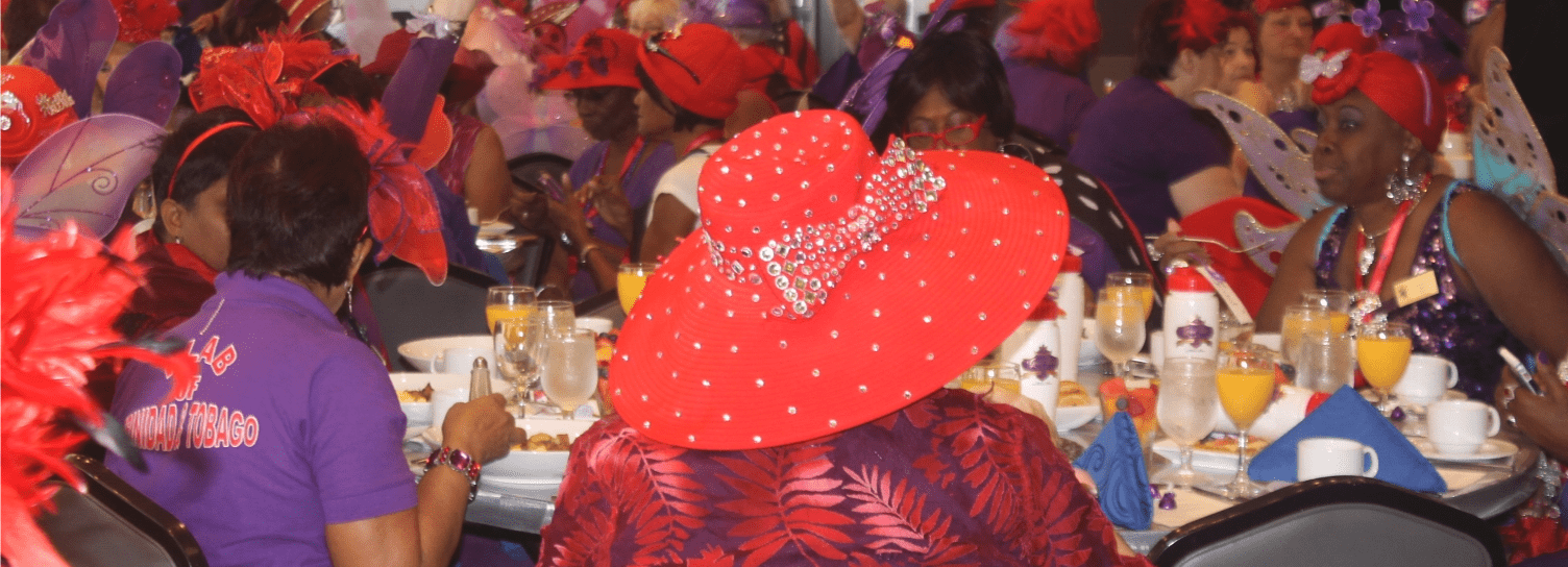 Red Hat Society Members at Optional Programming